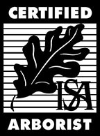 isa-logo